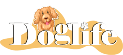 Tarım Orman Bakanlığı Ruhsatlı Köpek Üretim Çiftliği - Toy Poodle-Maltipoo-Maltese Yavrular 
