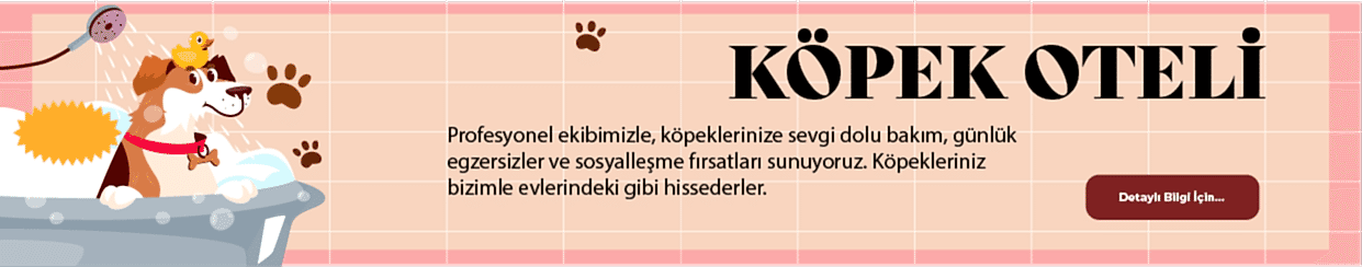 Köpek Oteli